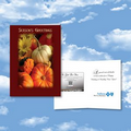 Cloud Nine Thanksgiving / Holiday CD Download Card - CD216 Always Thanksgiving/CD313 Music Says All